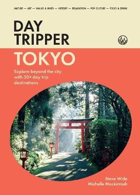 Michelle Mackintosh : DayTripper
