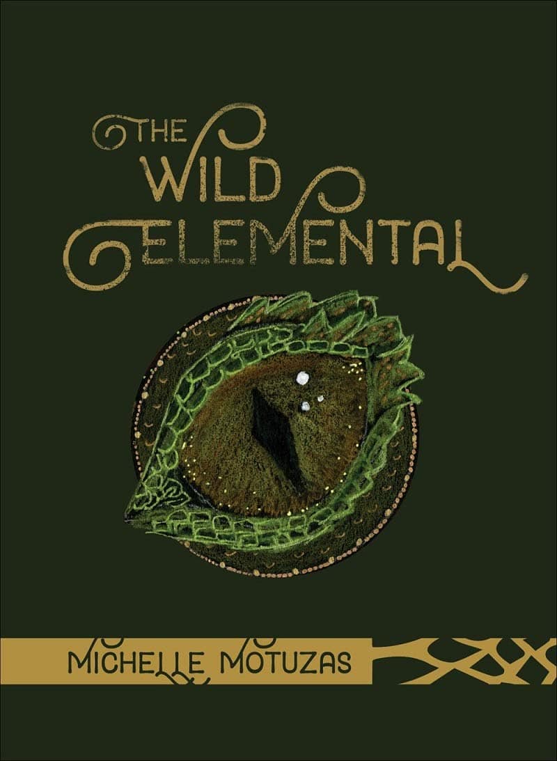 Michelle Motuzas : The Wild Elemental Oracle