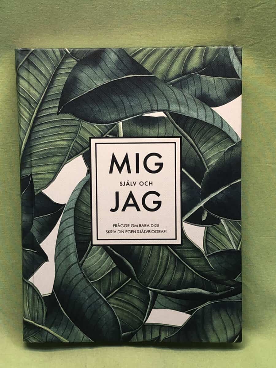 Mig själv och jag