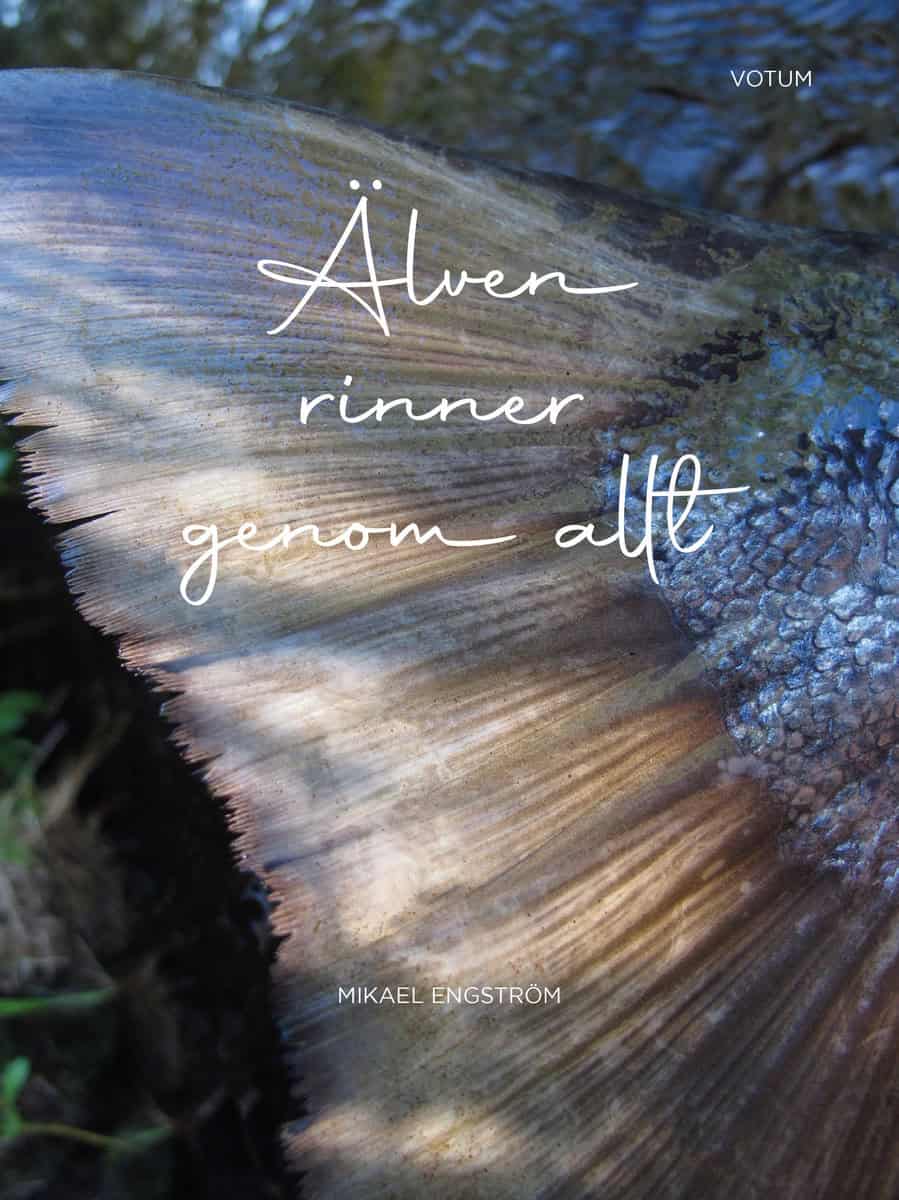 Mikael Engström : Älven rinner genom allt