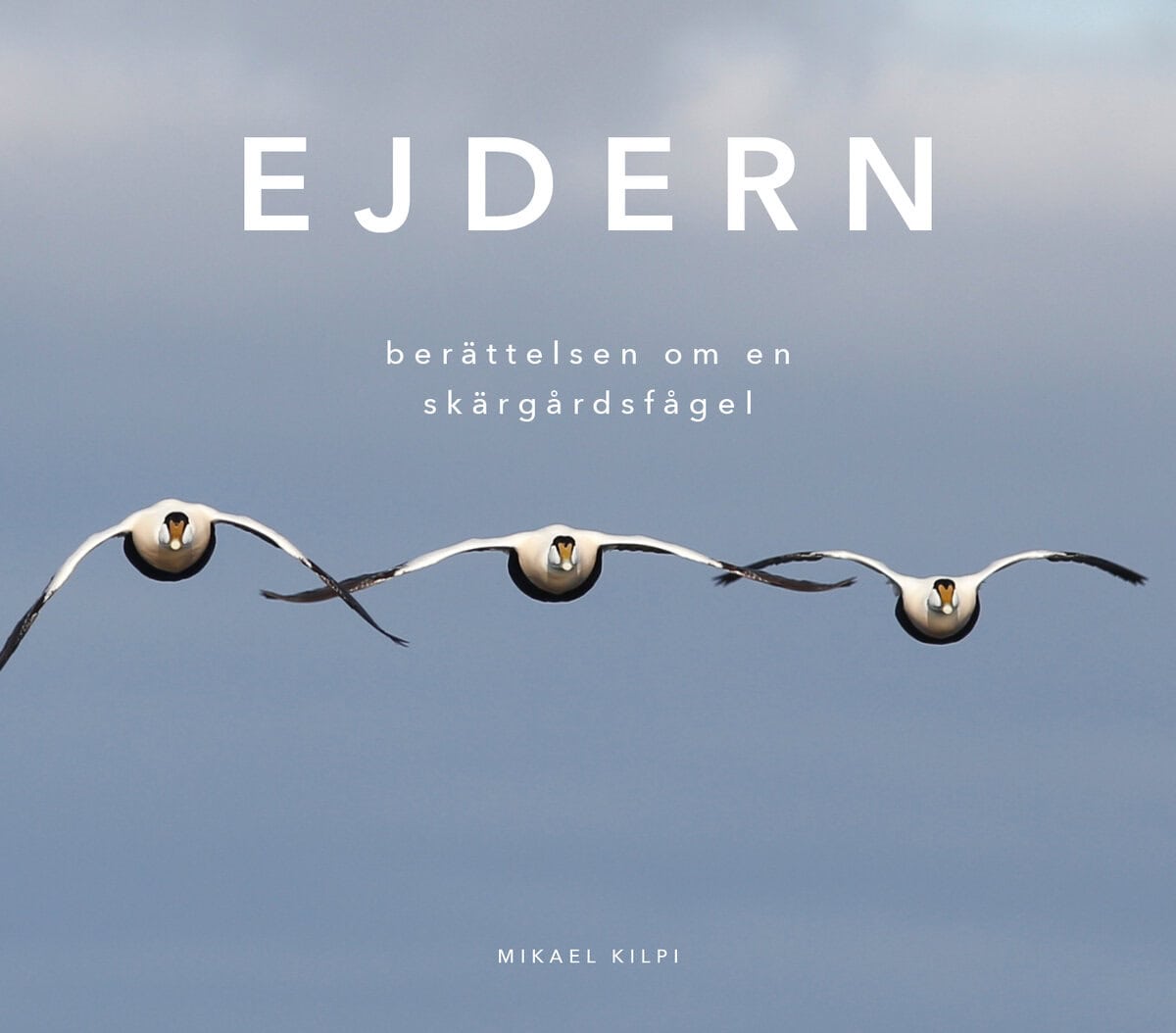 Mikael Kilpi : Ejdern - berättelsen om en skärgårdsfågel