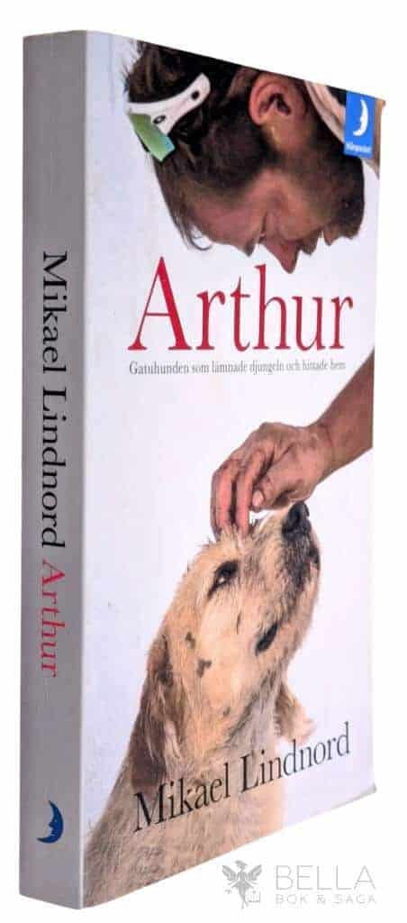 Mikael Lindnord : Arthur