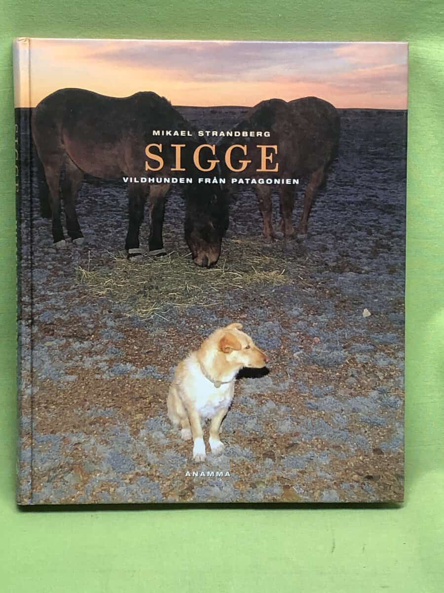 Mikael Strandberg : Sigge