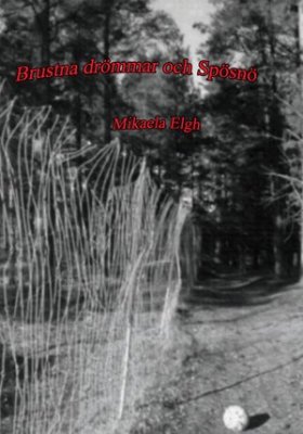 Mikaela Elgh : Brustna drömmar och Spösnö