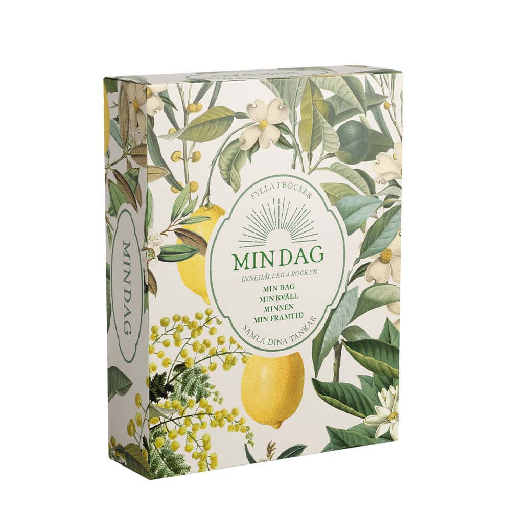 MIN DAG : Min dag, Min kväll, Minnen, Min framtid