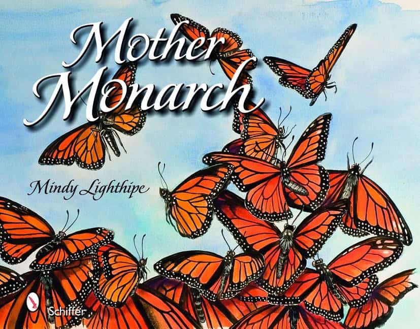 Mindy Lighthipe : Mother monarch