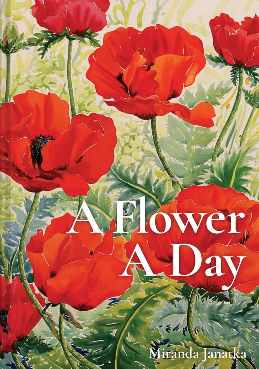 , : A Flower A Day
