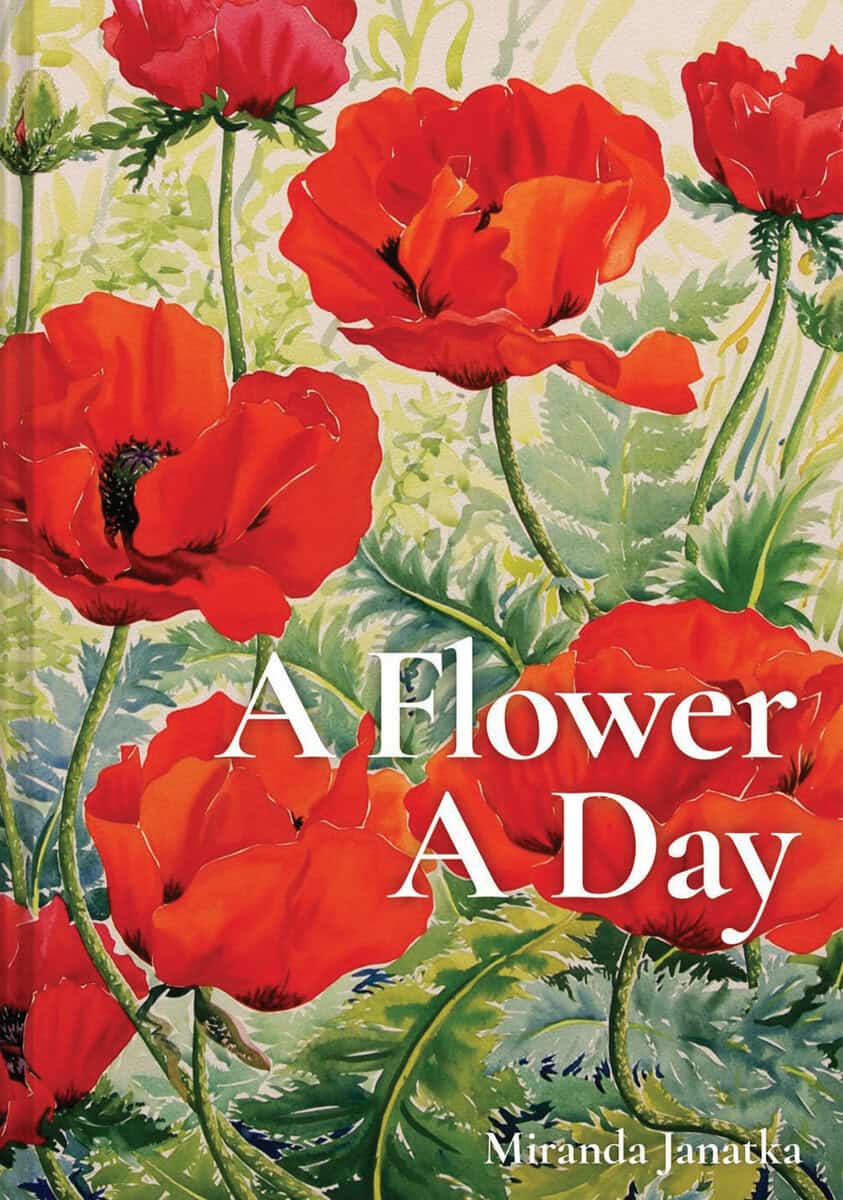 Miranda Janatka : A Flower A Day