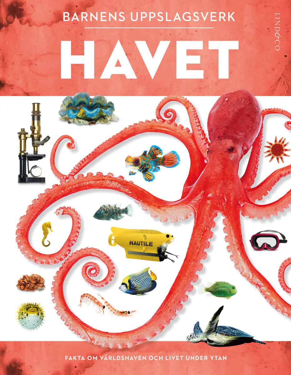 Miranda Macquitty : Barnens uppslagsverk. Havet