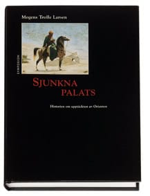Mogens Trolle Larsen : Sjunkna palats