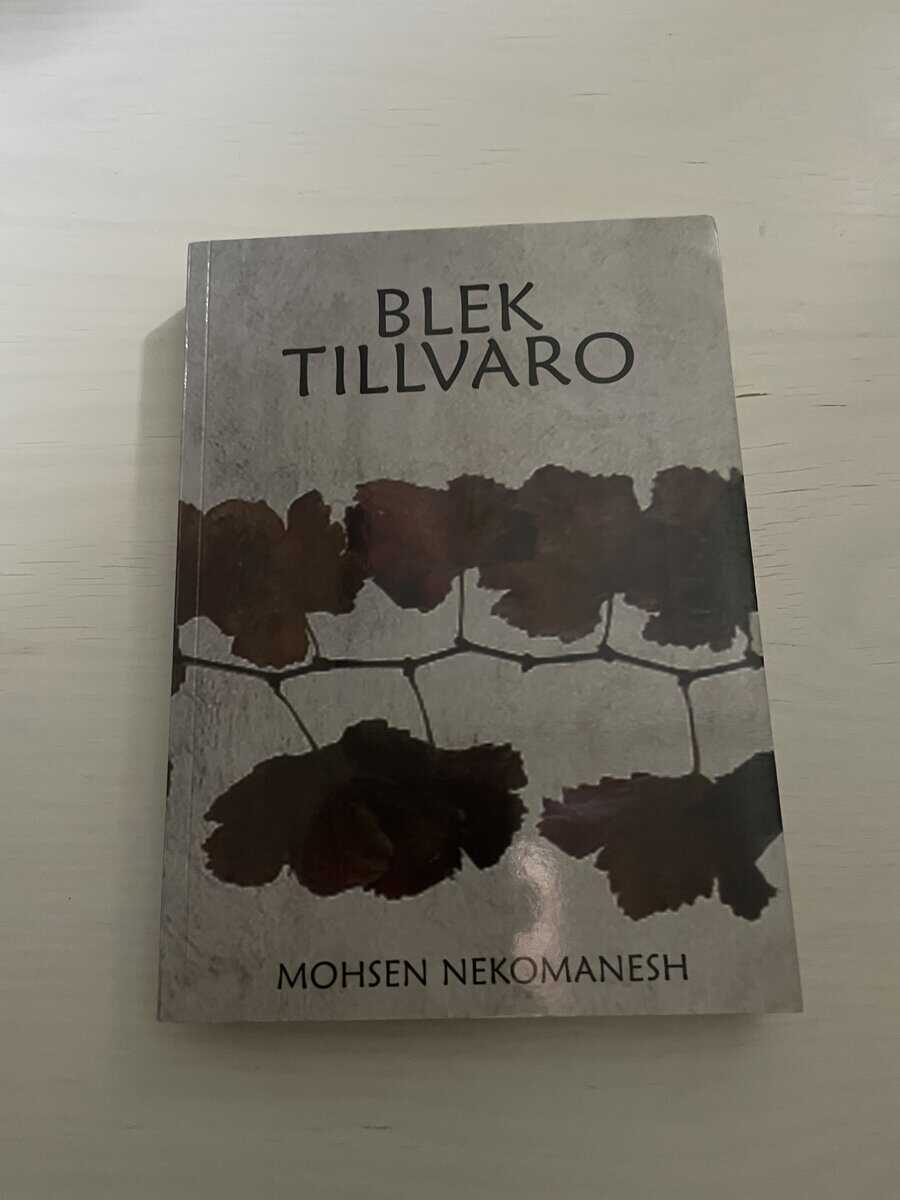 Mohsen Nekomanesh : Blek tillvaro