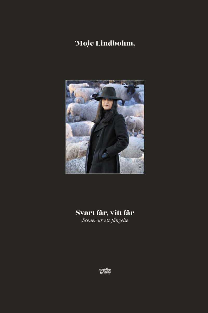 Moje Lindbohm : Svart får, vitt får