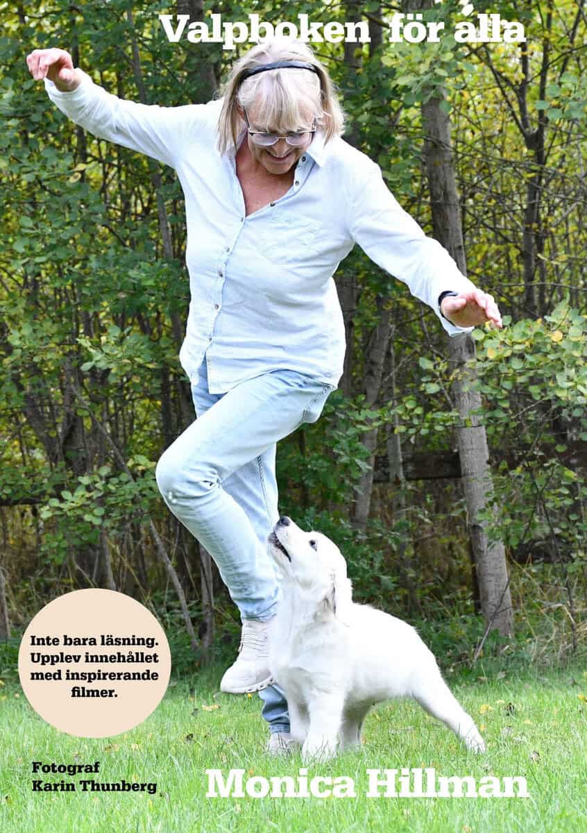 Monica Hilman : Valpboken för alla