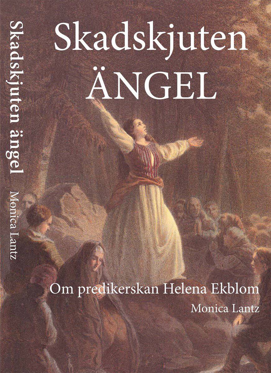 Monica Lantz : Skadskjuten ängel