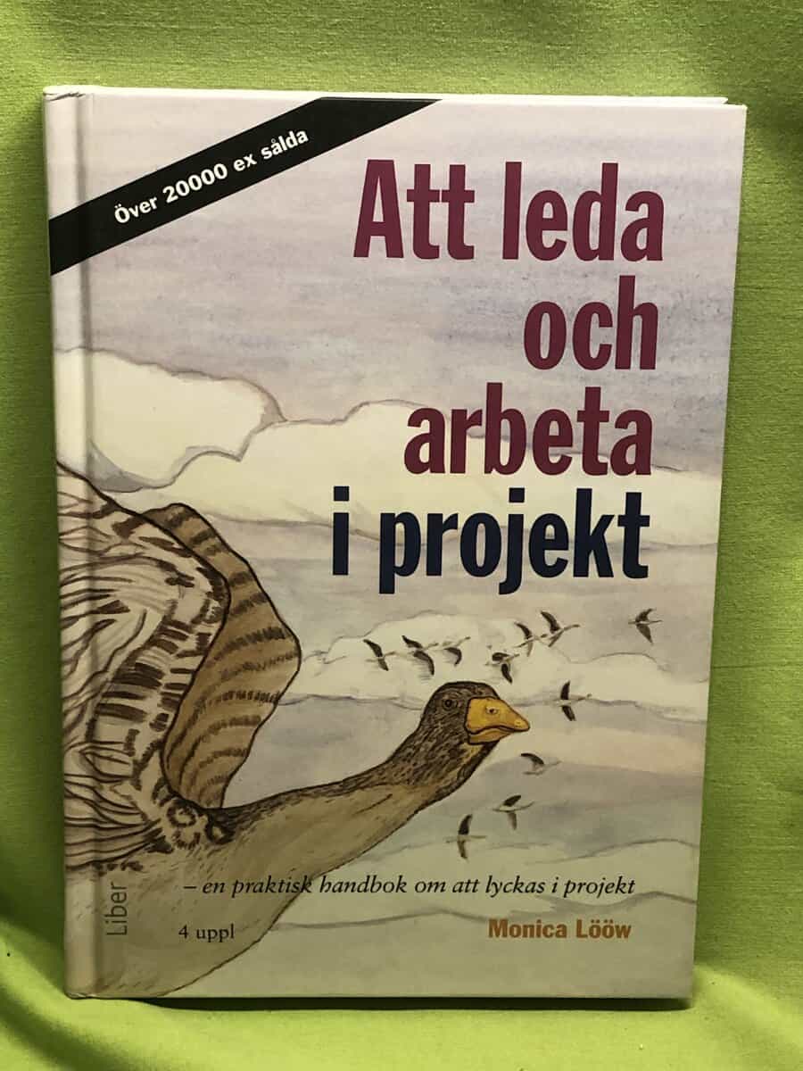 Monica Lööw : Att leda och arbeta i projekt