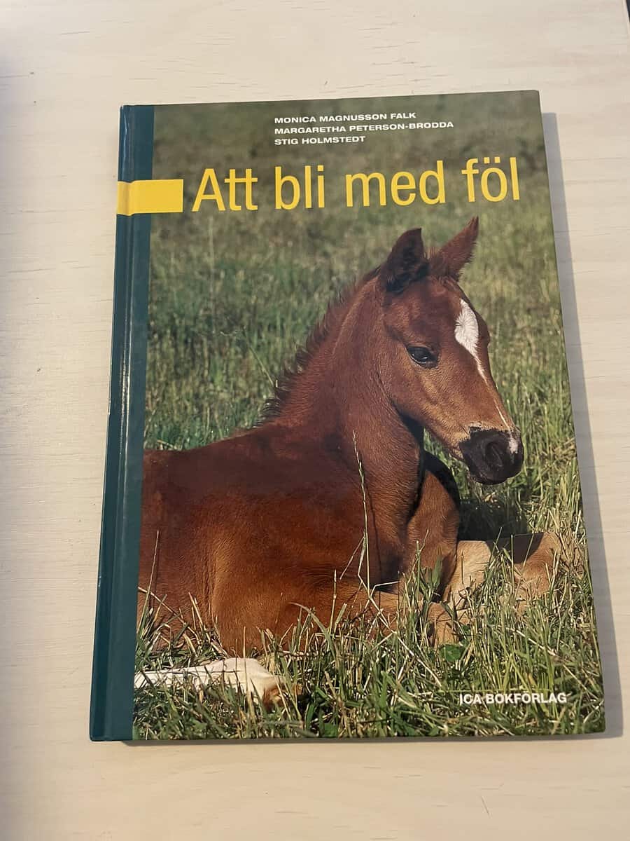 Monica Magnusson Falk : Att bli med föl