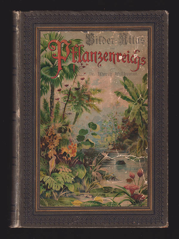 Moritz Willkomm : Bilder-Atlas des Pflanzenreichs nach dem natürlichen System bearbeitet von Dr. Moritz Willkomm, Universitäts-Prof. in Prag. 124 fein kolorierte Tafeln mit über 600 Abbildungen und 143 Seiten Text