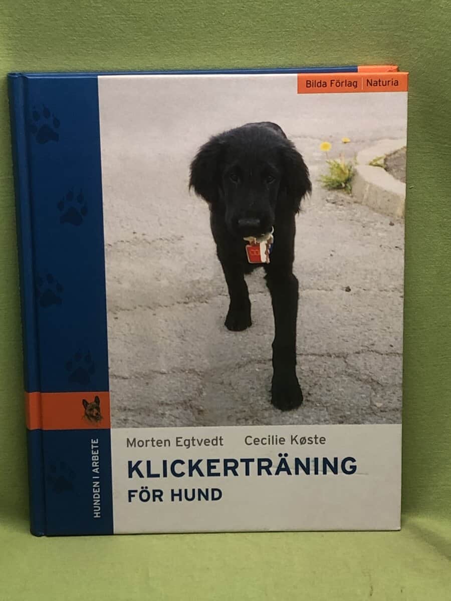 Morten Egtvedt : Klickerträning