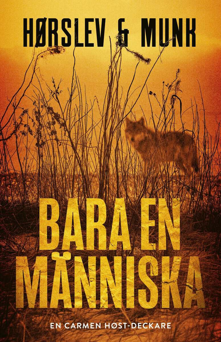 Munk, Kaspar ; Hørslev, Lone : Bara en människa