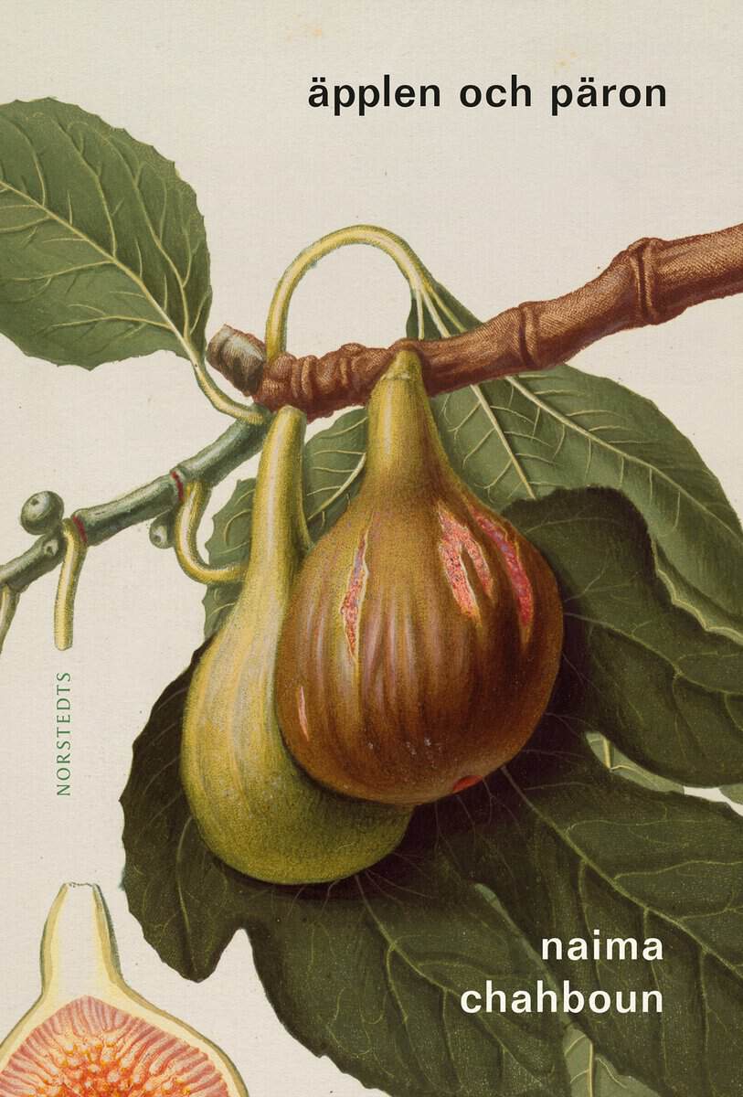 Naima Chahboun : Äpplen och päron