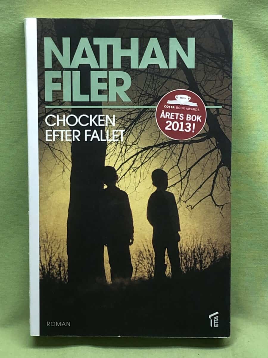 Nathan Filer : Chocken efter fallet