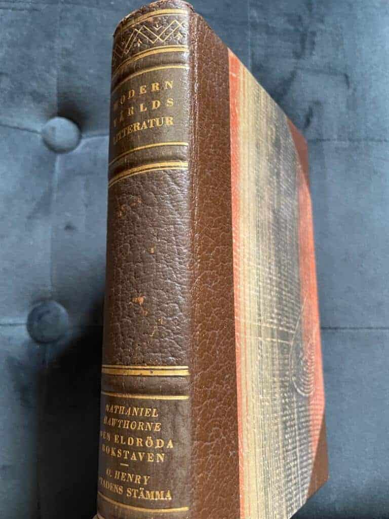 Nathaniel Hawthorne ; O. Henry : Den eldröda bokstaven [The Scarlett Letter] / Stadens stämma