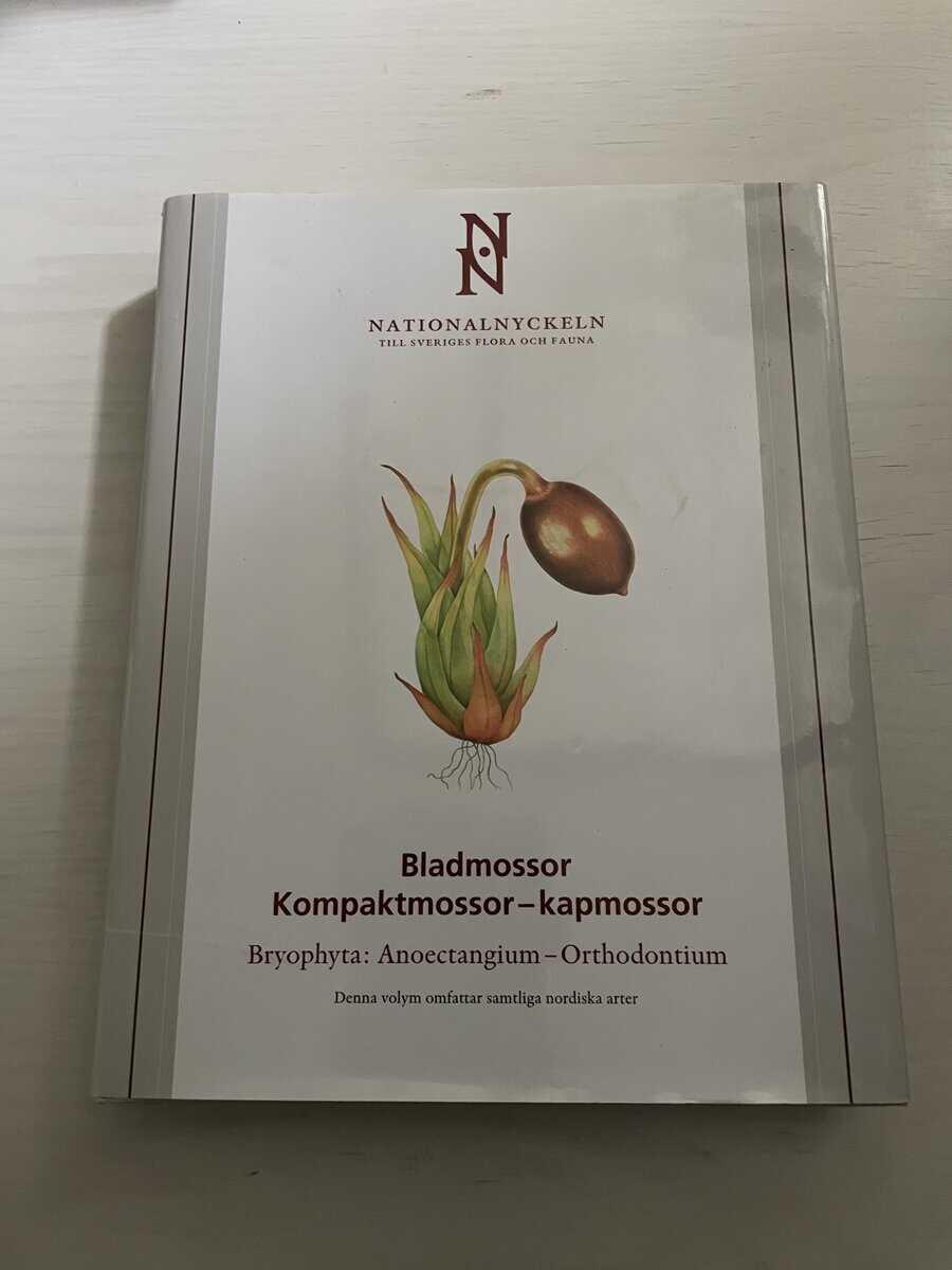 Nationalnyckeln - Bladmossor - Kompaktmossor - kapmossor Bryophyta Anoectangium - Orthodontiu