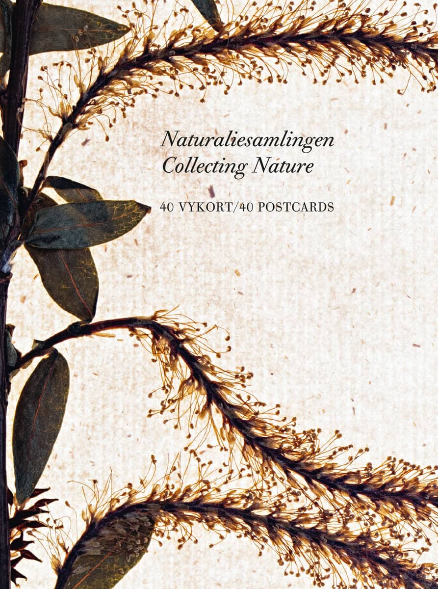 Naturaliesamlingen - vykortslåda