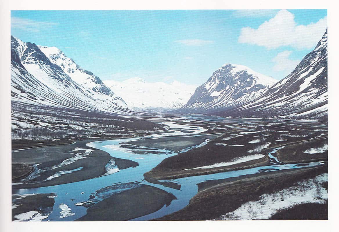 Naturfotograferna 25 år [=ryggtitel]