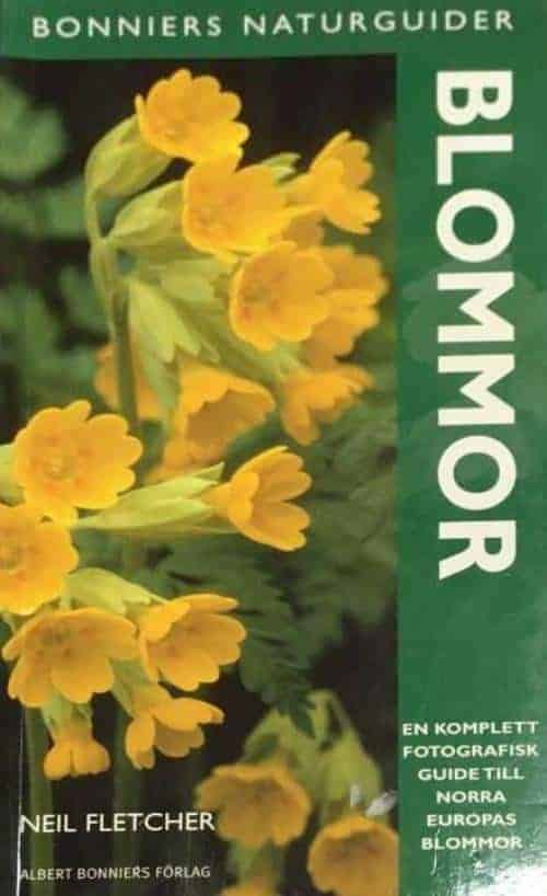 Neil Fletcher : Blommor