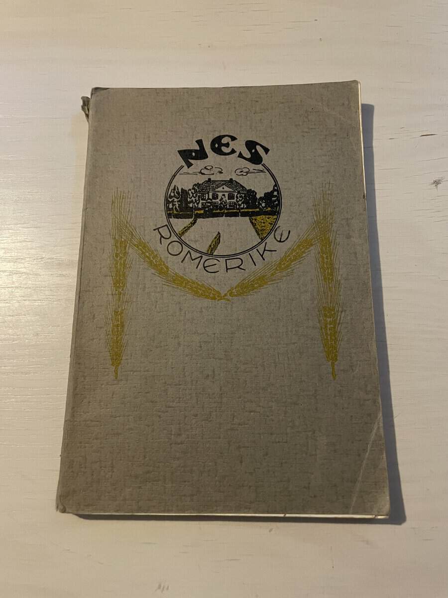 Nes Romerike - en liten bygdebok