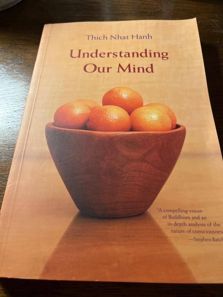 Nhât Hạnh : Understanding our mind