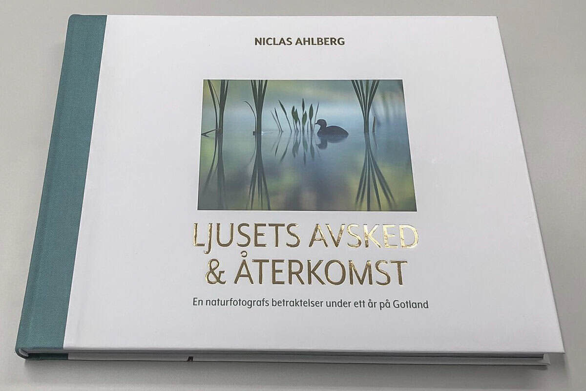 Niclas Ahlberg : Ljusets avsked och återkomst : en naturfotografs betraktelser under ett år på Gotland