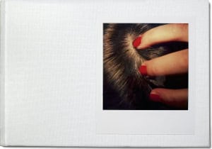 Niclas Östlind : Polaroid SX-70 Bengt-Arne Falk