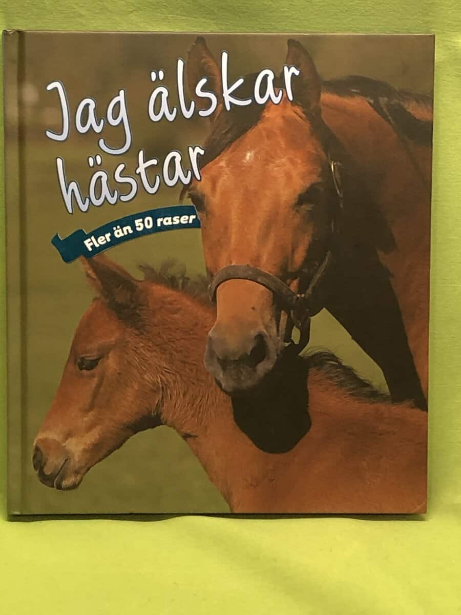 Nicola Jane Swinney : Jag älskar hästar