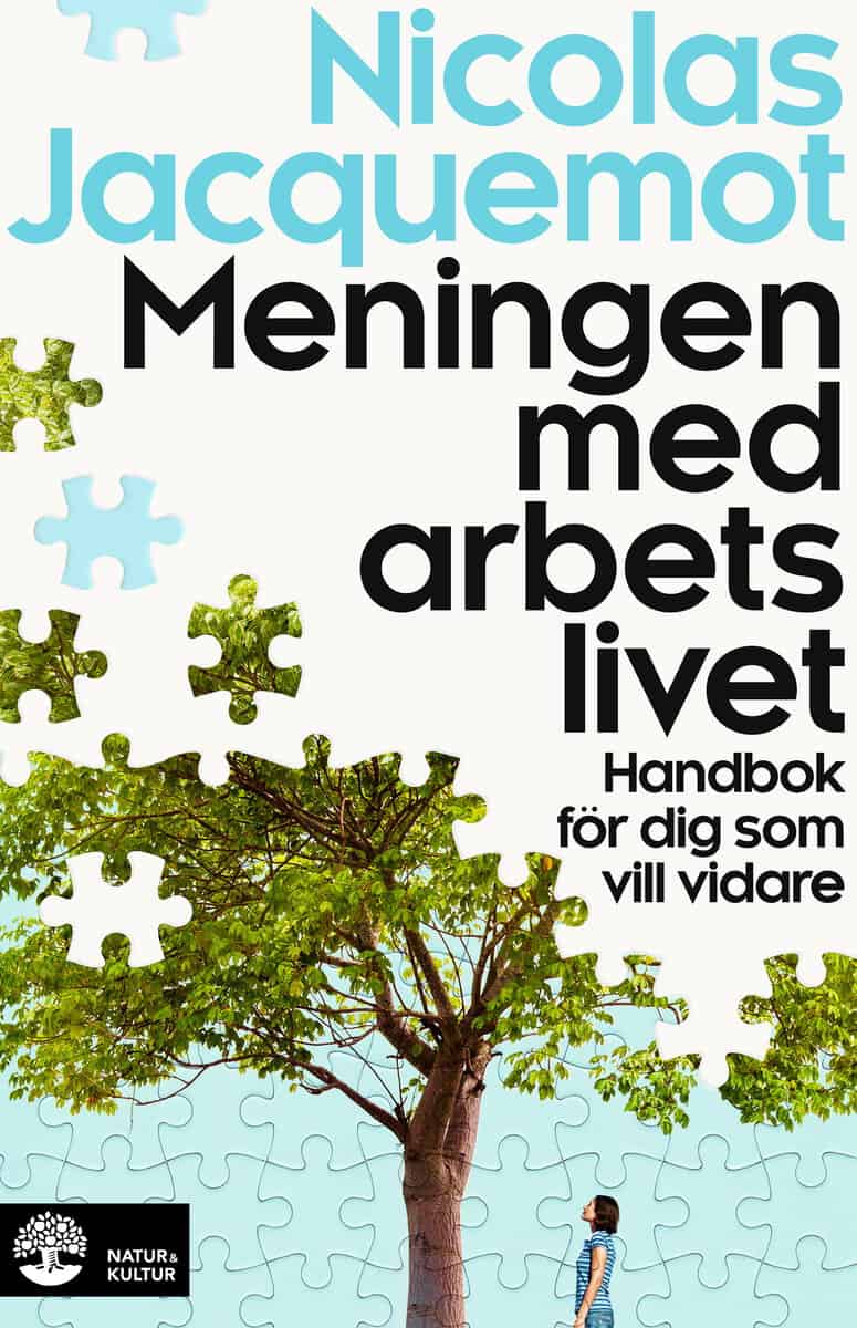 Nicolas Jacquemot : Meningen med arbetslivet : handbok för dig som vill vidare