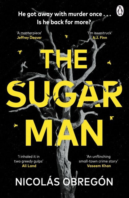 Nicolas Obregon : The Sugar Man