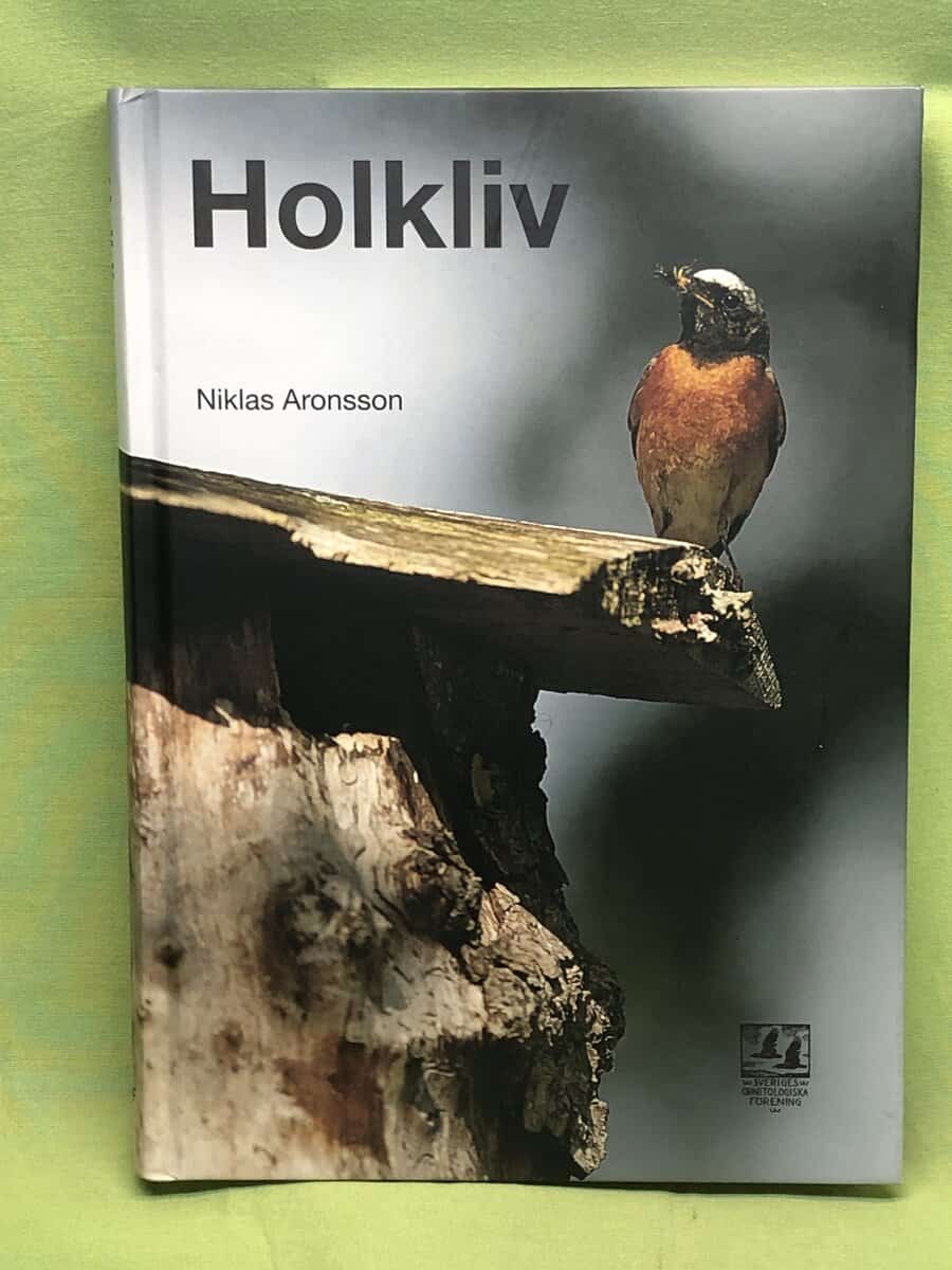 Niklas Aronsson : Holkliv