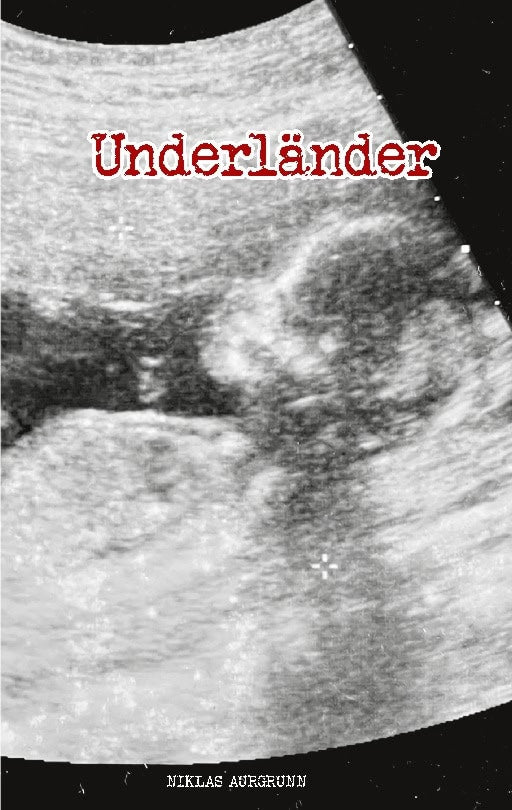 Niklas Aurgrunn : Underländer