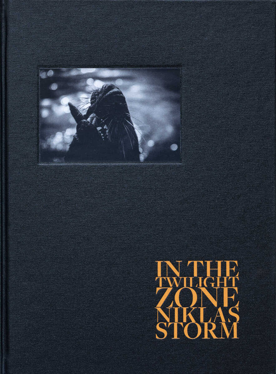 Niklas Storm : In the twilight zone
