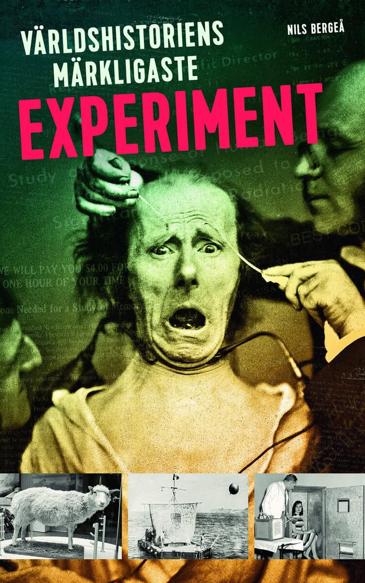 Nils Bergeå : Världshistoriens märkligaste experiment