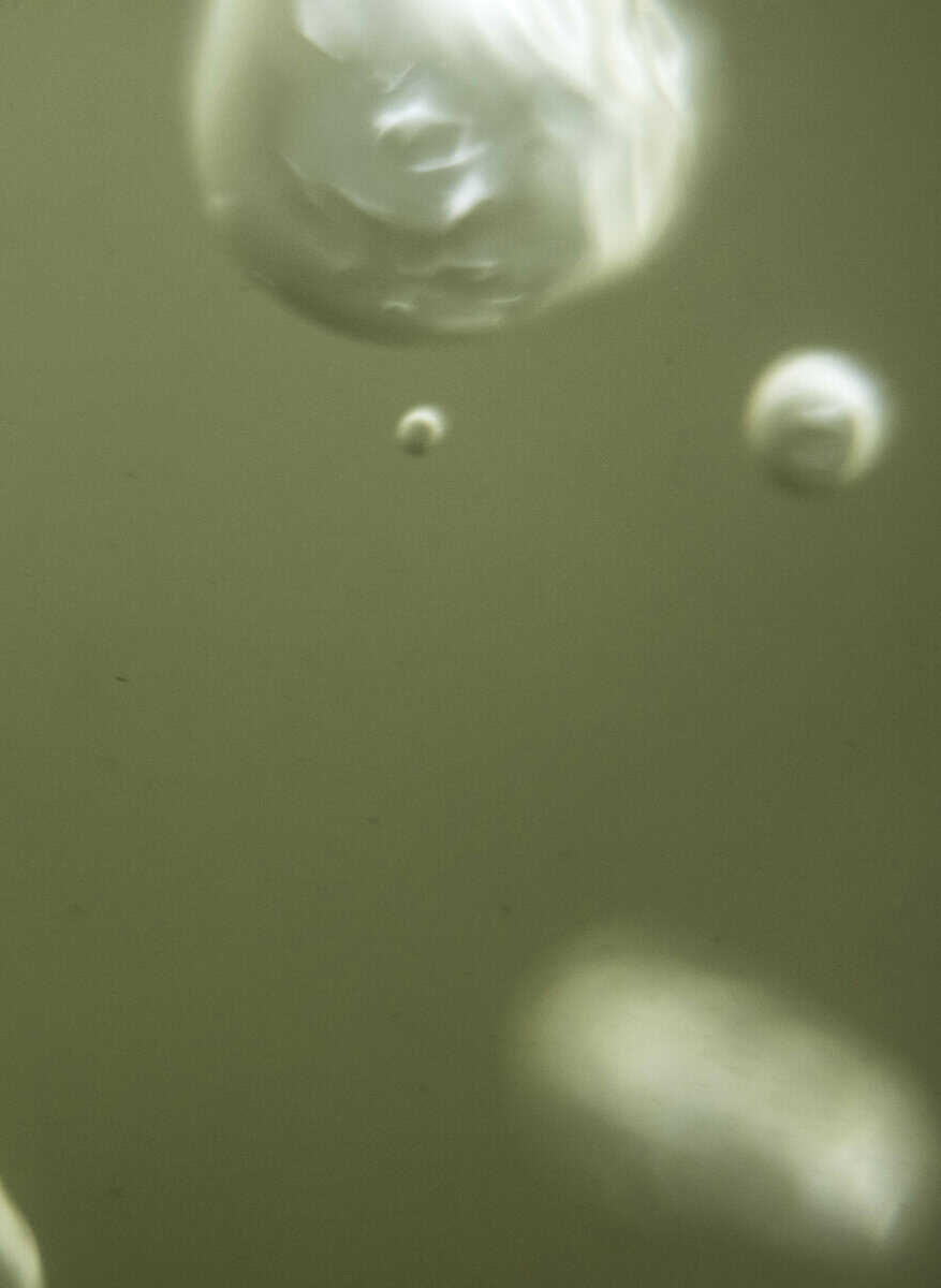 Nils Bergendal : Den svunna ön