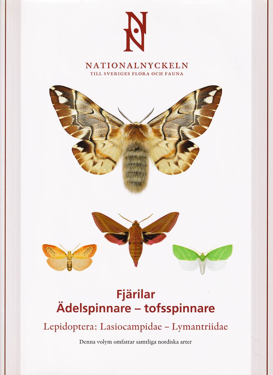 Nils Hydén : Fjärilar. Ädelspinnare - tofsspinnare