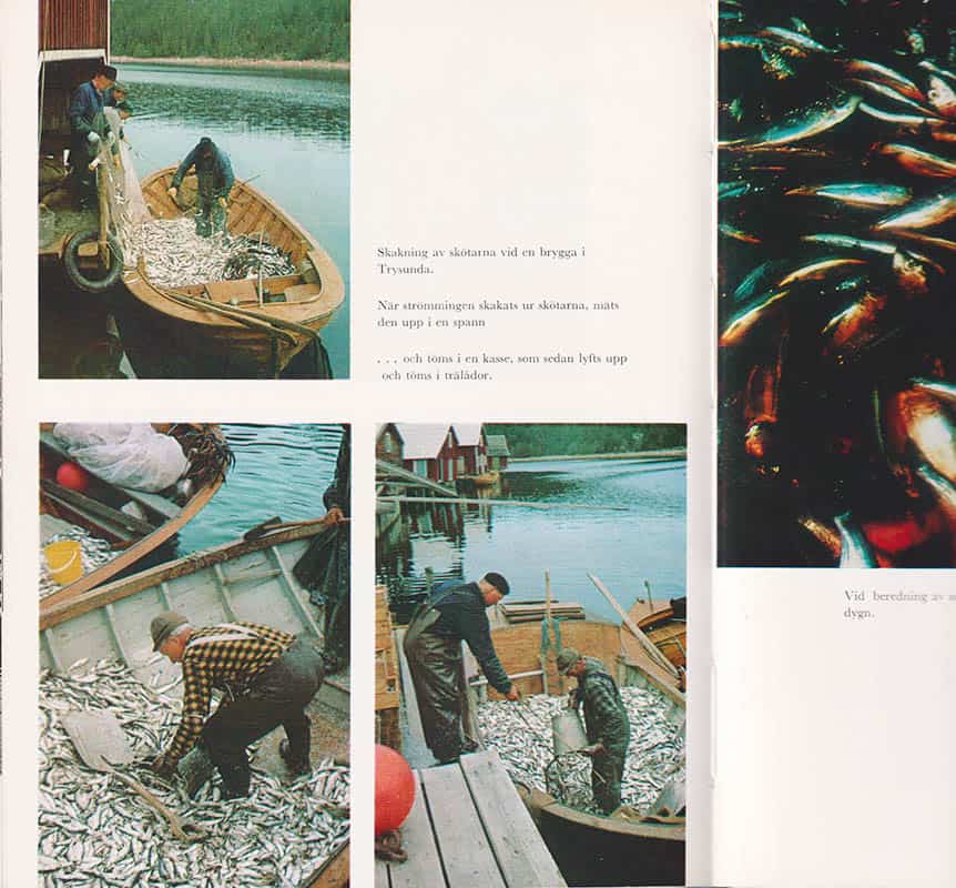 Nils J. Nilsson : Bottenhavskust