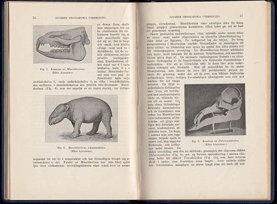 Nils Rosén : Djurgeografi
