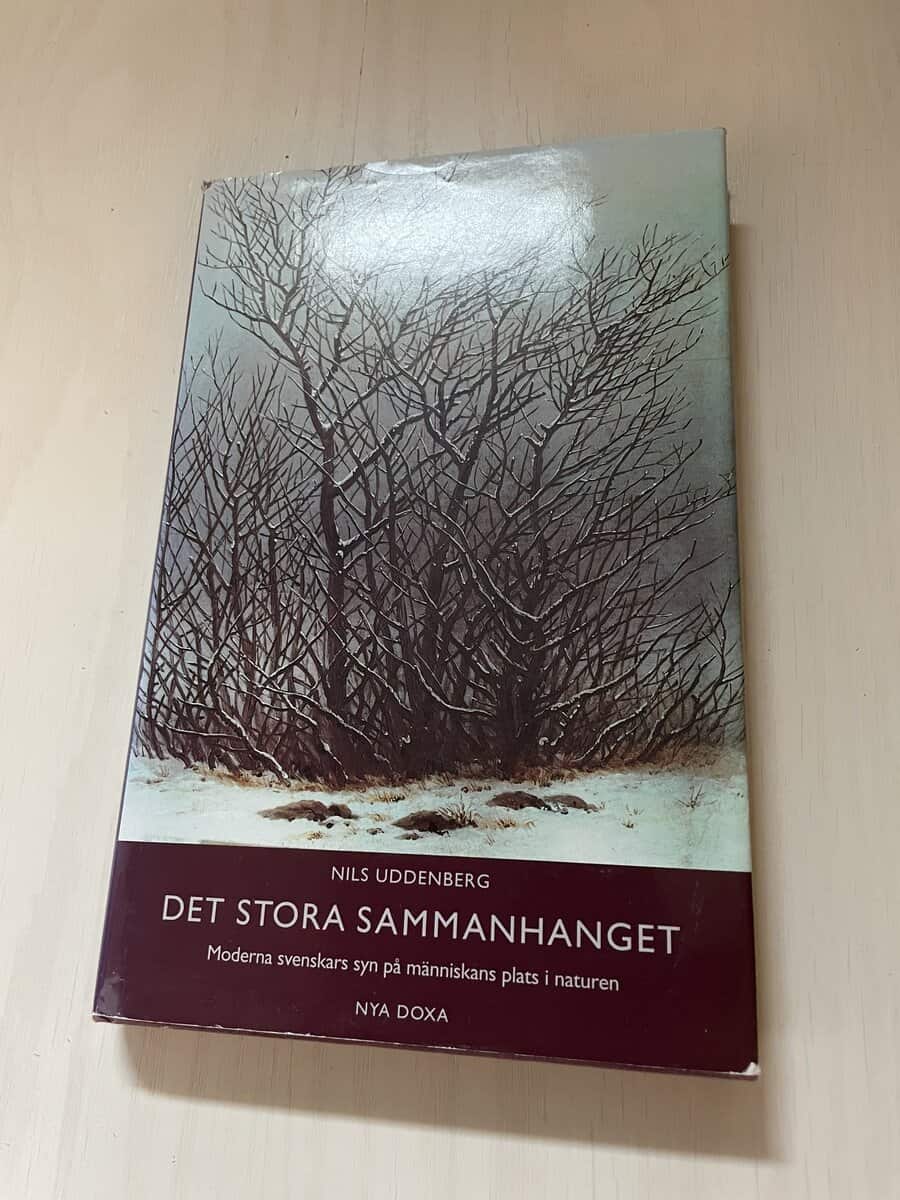 Nils Uddenberg : Det stora sammanhanget