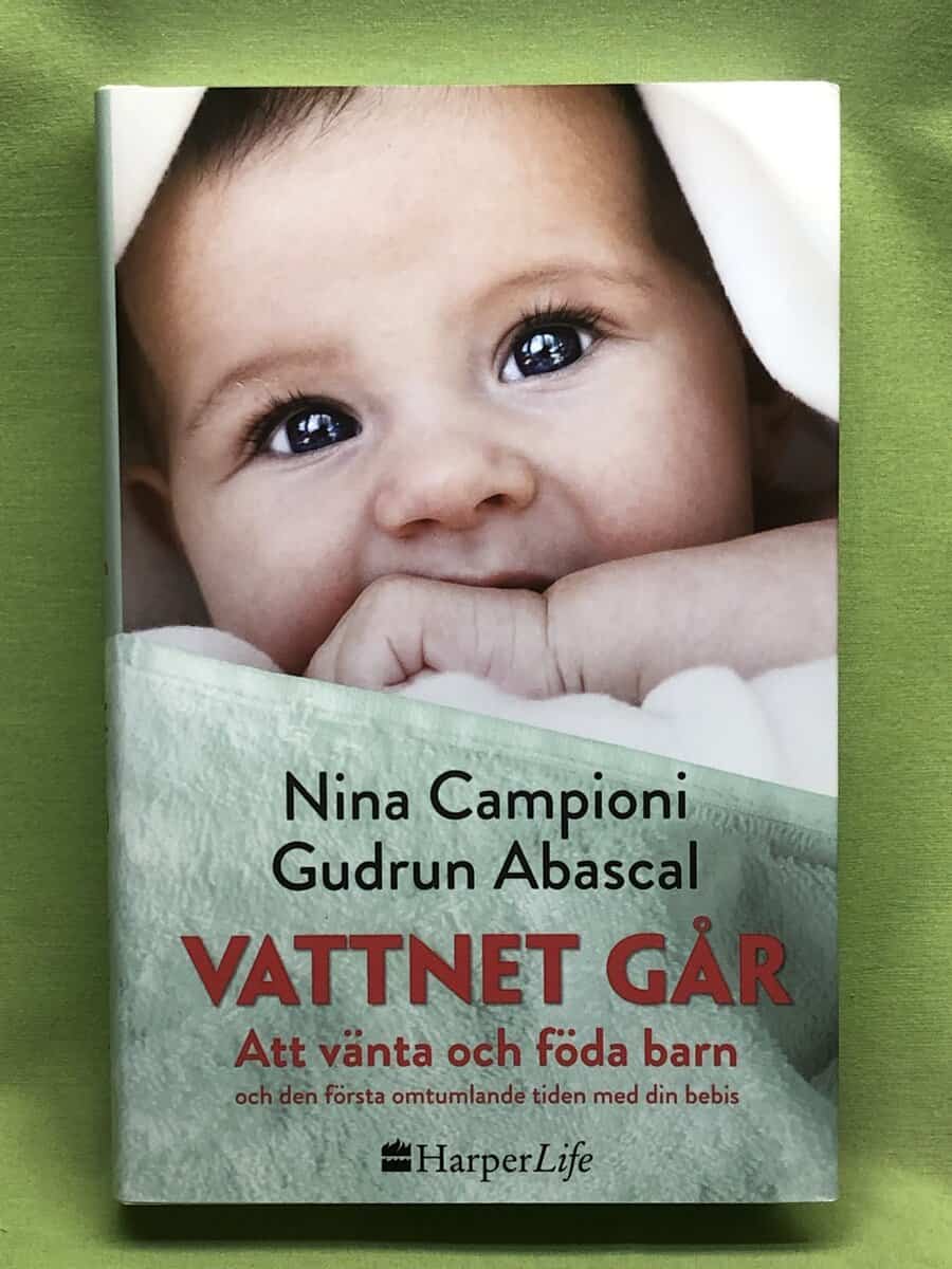 Campioni, Nina, Abascal, Gudrun : Vattnet går