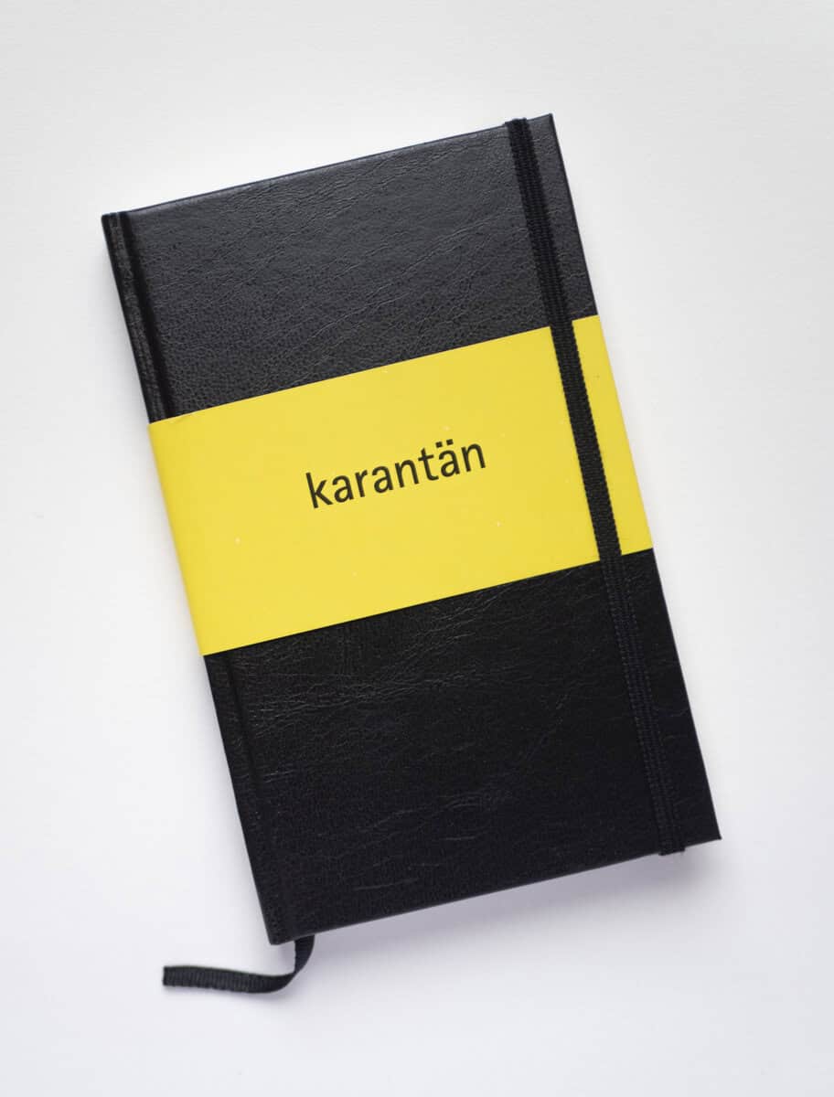 Nina B Johansson : Karantän