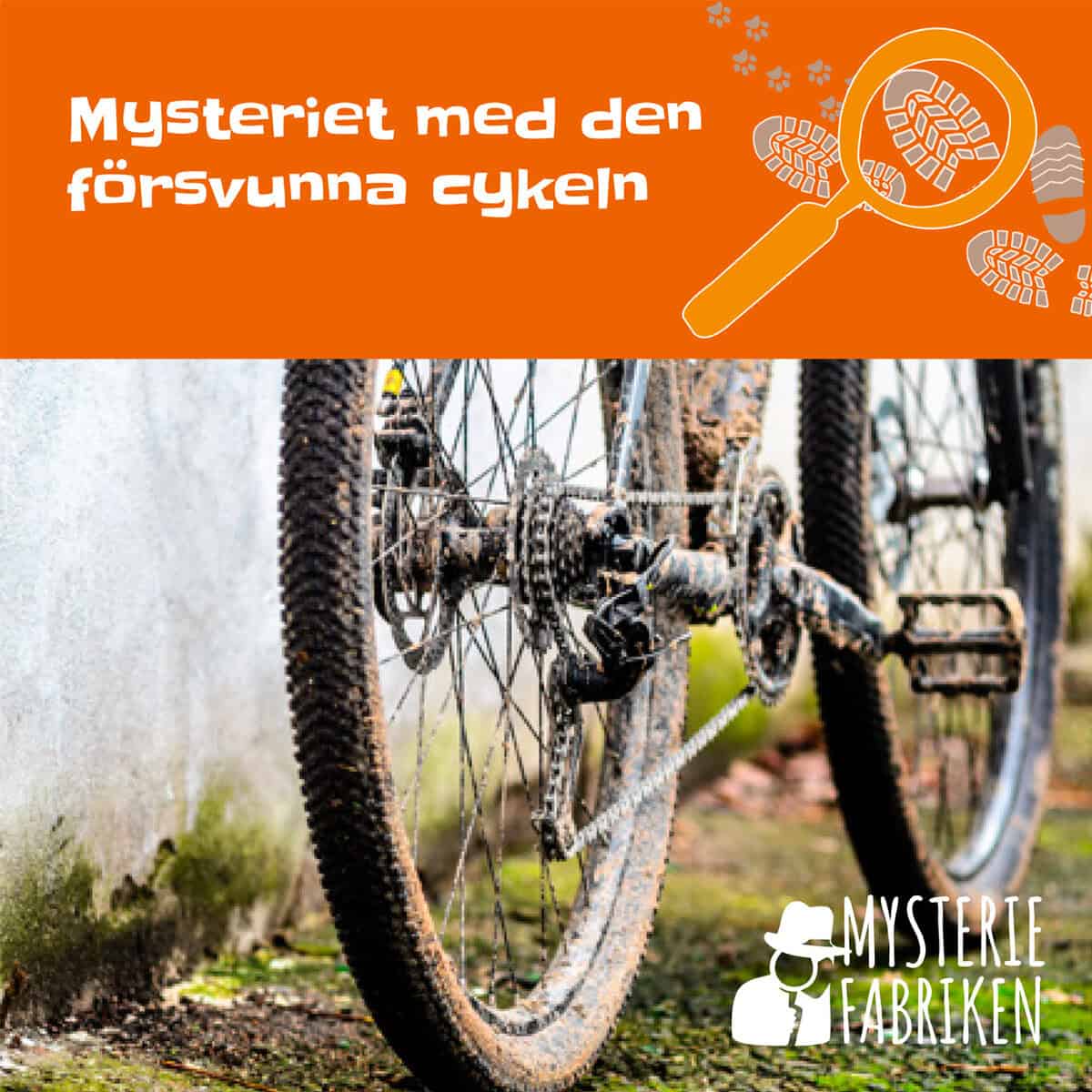 Nina Cernold : Mysteriet med den försvunna cykeln
