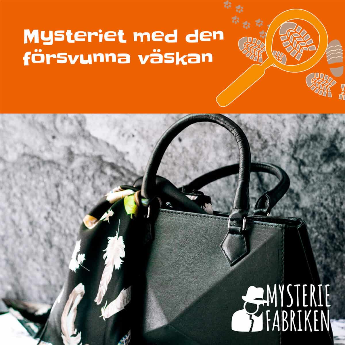 Nina Cernold : Mysteriet med den försvunna väskan